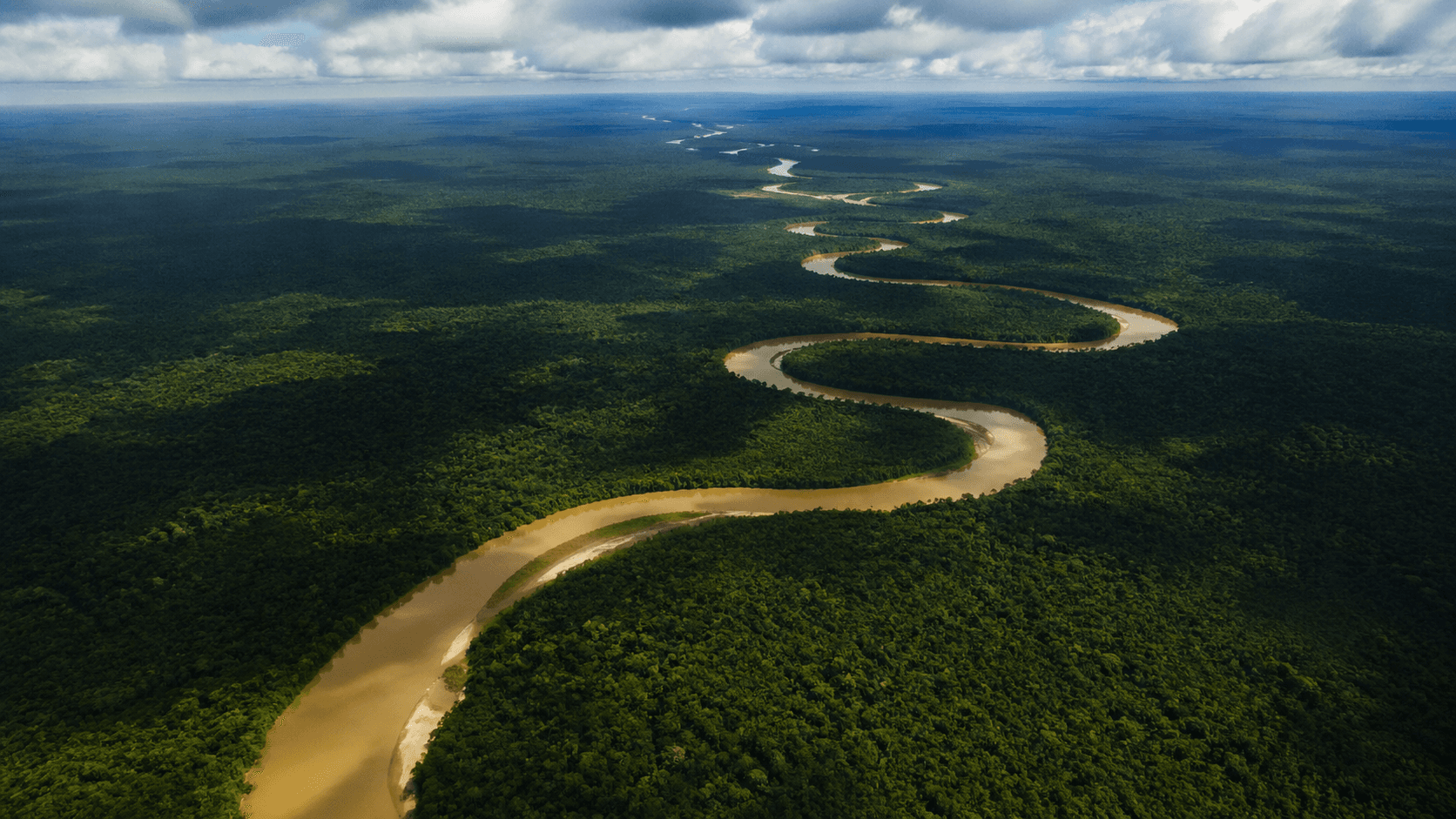 Várzea (Flooded Forest)