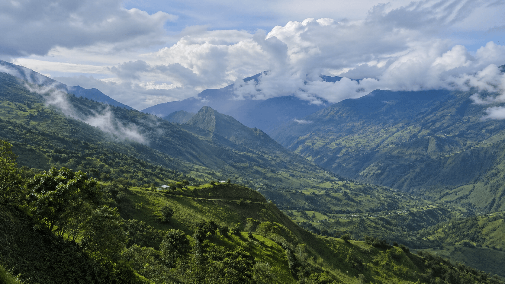 Andes & Cloud Forests
