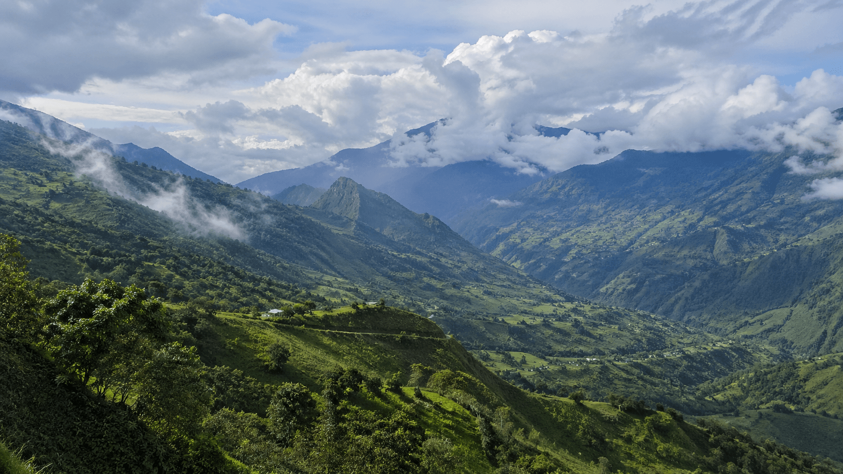 Andes & Cloud Forests