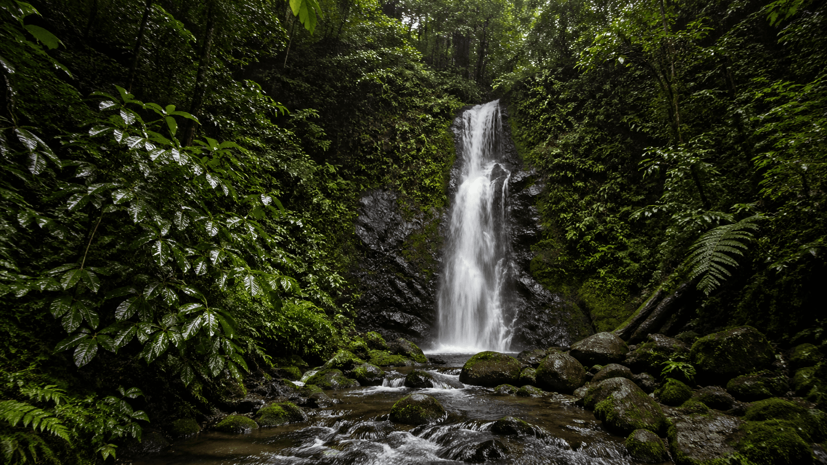 Pacific Coast & Chocó